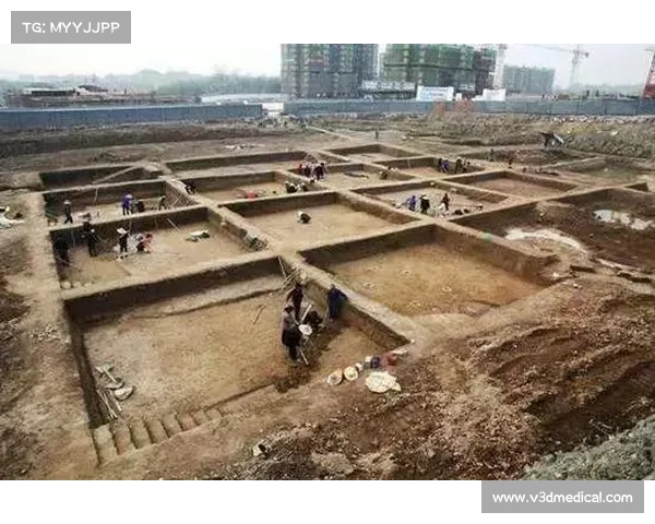 黄金甲之谜对现代考古学的启示与推动作用探析 黄金甲之谜对现代考古学的启示与推动作用探析