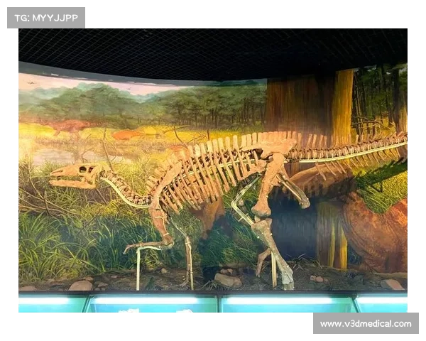 踏上探索古老世界神秘生物与远古力量的奇幻冒险旅程 踏上探索古老世界神秘生物与远古力量的奇幻冒险旅程