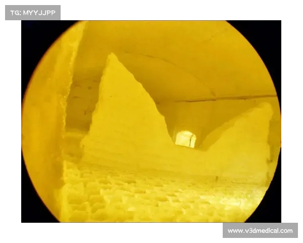 火焰玻璃制作过程中的五大关键步骤解析与技巧分享 火焰玻璃制作过程中的五大关键步骤解析与技巧分享