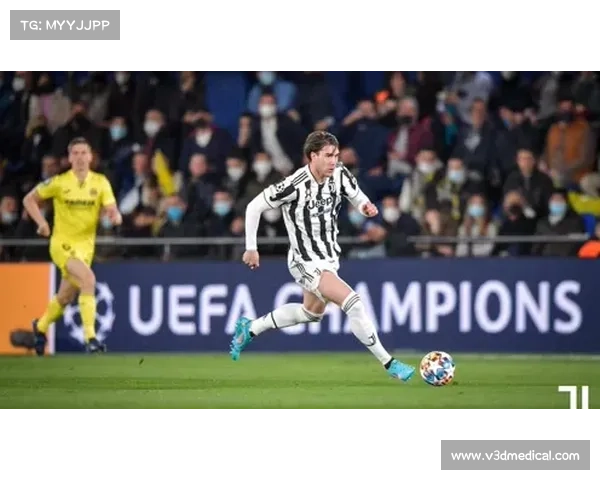 巴舒亚伊语种深度解析及其文化背景与全球影响力揭秘